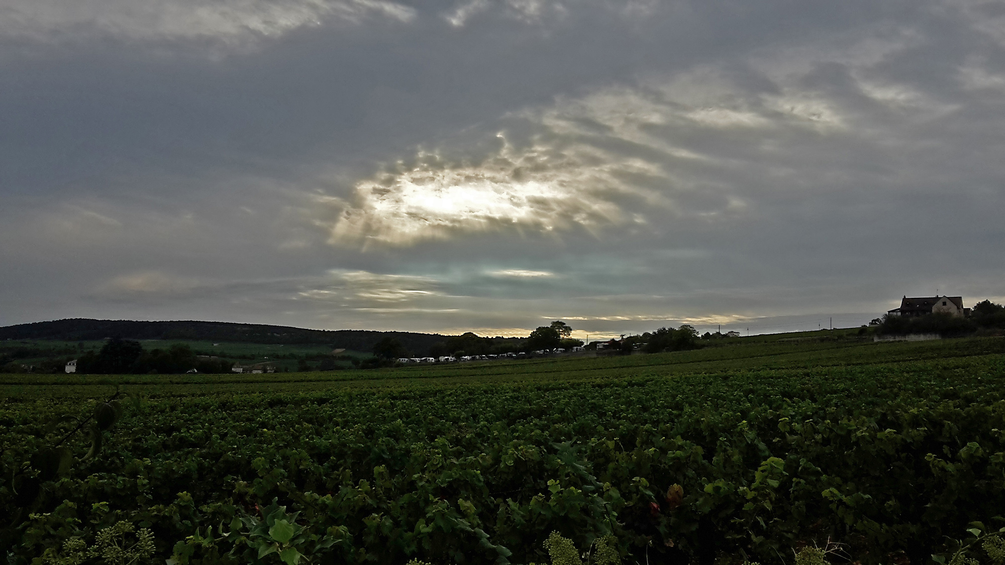 20160926 Meursault